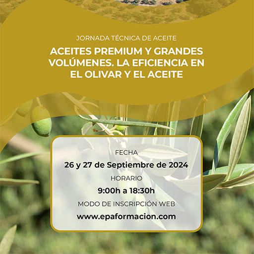 VI Jornadas