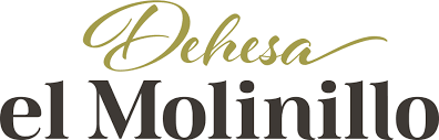 Molinillo